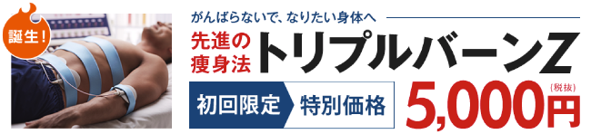 トリプルバーンZ価格情報