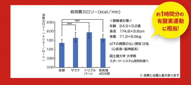 トリプルバーンZ統計データ