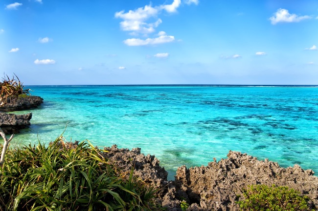 綺麗な海