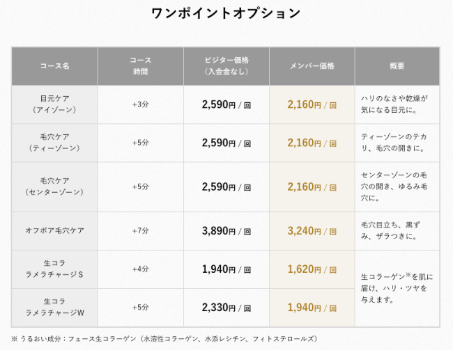 メンズTBCエステ公式サイトのワンポイントオプションの説明