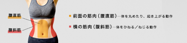 RIZAP公式サイト-お腹の横にも効果が期待できる