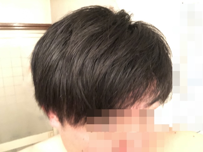 LIPPSヘアオイルを使用後にドライヤー使用