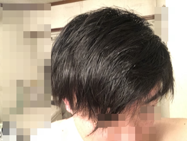 LIPPSヘアオイルを使用後