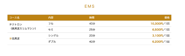 エールのEMSのコース内容