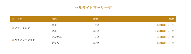 エールのセルライトマッサージのコース内容