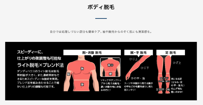 ダンディハウスのボディ脱毛